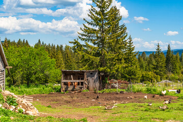 View of a countryside in small village Podgora in Montenegro