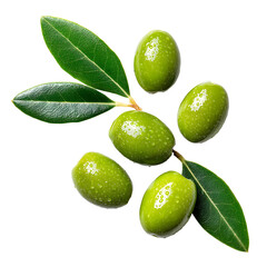 Close-up studio shot of fresh green olives with leaves on a black background