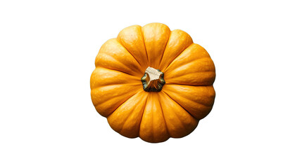 A medium-sized orange pumpkin with distinct vertical ridges and a short, textured brown stem viewed from above.