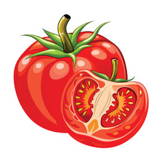  Tomato (Technically a Fruit) vector on white background