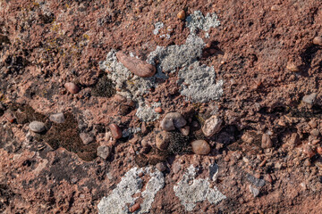 Chinle Formation, Shinarump Member. The Shinarump Conglomerate (coarse-grained sandstone and pebble conglomerate). gravel. Sliding House Overlook, Canyon de Chelly National Monument, Chinle, Arizona. 