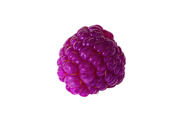 a raspberry is shown on a white background