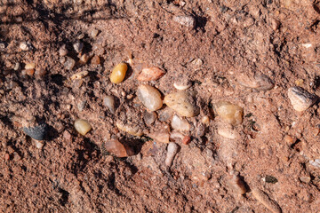 Chinle Formation, Shinarump Member. The Shinarump Conglomerate (coarse-grained sandstone and pebble...