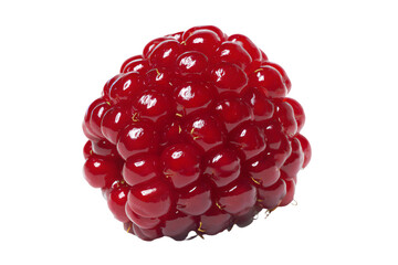 a close up of a raspberry on a white background