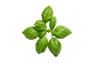 Fototapeta premium a group of green leaves on a white surface