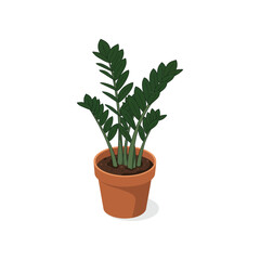 Illustration of a vibrant green ZZ plant in a terracotta pot, isolated on white.