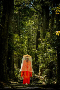 Kimono walk in the Forest, Nachii Falls, Japan