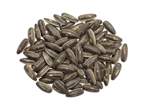 A pile of striped sunflower seeds arranged in a circular pattern isolated on transparent background