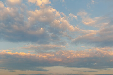 Pastel clouds at sunset and birds in a peaceful sky