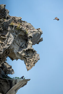 Falcon Rock, Wakayama Prefecture, Japan