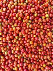 Top view of pile of red tomatoes