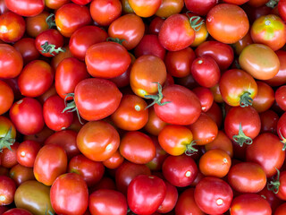 Top view of pile of red tomatoes