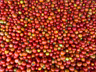 Top view of pile of red tomatoes