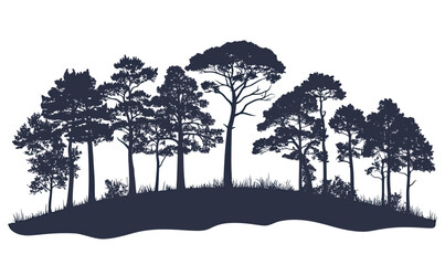 Obraz premium Silhouette of diverse pine and fir trees on grassy hill with detailed branches and needles isolated on white background vector illustration in minimalist style