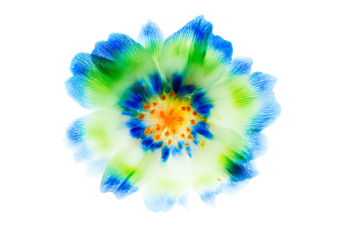 a flower with a blue center and yellow center