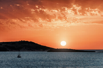 Flock of birds soaring gracefully over the shimmering sea at sunset, illuminated by a stunning...