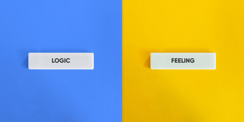 Logic vs Feeling Minimal Concept on Color Split Background