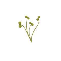 Minimalist Green Leaf Drawing with Elegant Shape