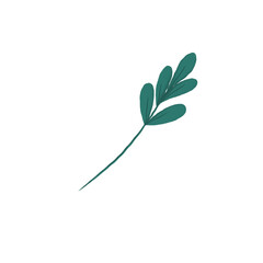 Tropical Fern Silhouette
