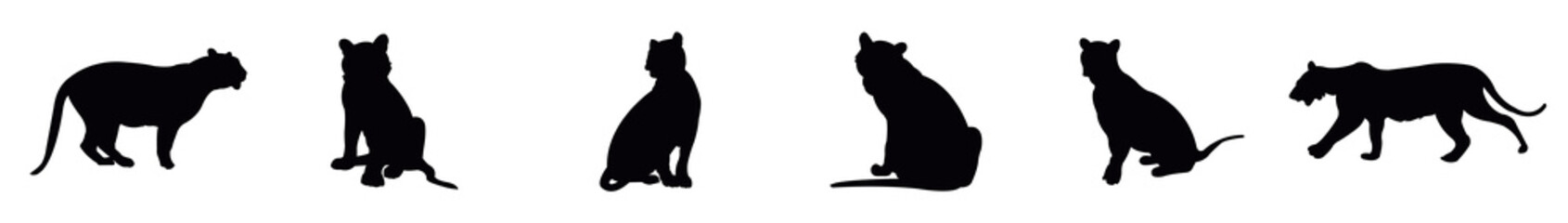 A set of black cat tiger silhouette clipart's, Big cat silhouette collection. Vector illustration.
. Vector illustration.