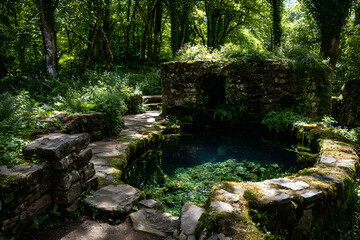 Harmonious Interplay of Ancient Well and Bubbling Spring Surrounded by Verdant Landscape Under Sunlit Canopy