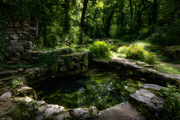 Harmonious Interplay of Ancient Well and Bubbling Spring Surrounded by Verdant Landscape Under Sunlit Canopy