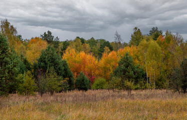 Heavy clouds hung over the autumn forest and meadow.