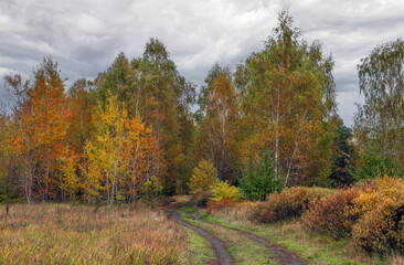 Fototapeta premium Heavy clouds hung over the autumn forest and meadow.