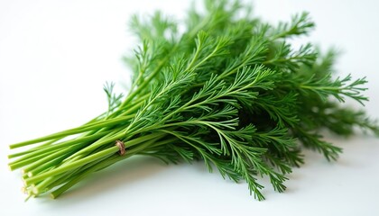 Bunch of fresh dill leaves tightly packed with green color against white background. Few brown spots scattered throughout add depth to appearance. Dill leaves oriented to right suggesting movement