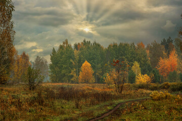 Heavy clouds hung over the autumn forest and meadow.