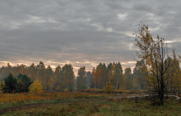 Heavy clouds hung over the autumn forest and meadow.