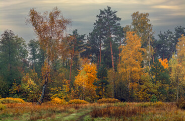Heavy clouds hung over the autumn forest and meadow.