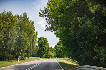 A Peaceful and Scenic Country Road Encircled by Vibrant and Lush Greenery All Around