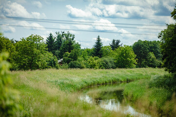 A peaceful and tranquil nature scene showcasing vibrant greenery and a beautiful water reflection