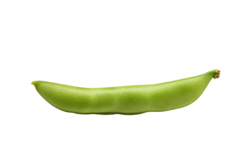a single green pea on a white background