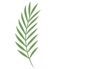 Tropical leaf with transparent background, perfect for summer projects, nature-themed designs, or any project needing a touch of green