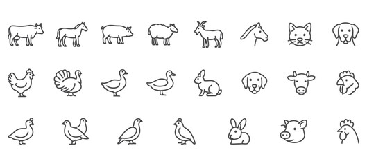 Farm Animal Line Icons – Unique Vector Illustrations of Livestock & Poultry for Agriculture, Farming