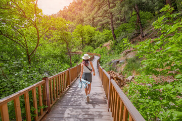 Woman walking along a wooden pathway surrounded by lush green forest, enjoying nature and...