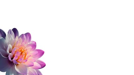 Beautiful colorful flowers arranged on a clean white background, showcasing vibrant petals, delicate stems, and natural elegance, perfect for decoration or design concept.