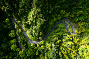 Obraz premium Serpentine Path: A Journey Through Lush Mountainous Terrain