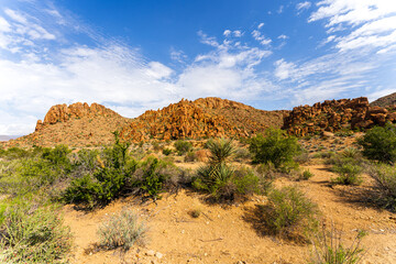 Scenic View at Big Bend Nationalpark, Texas, USA