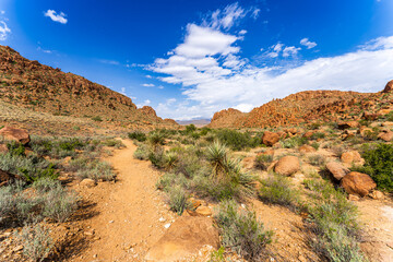 Scenic View at Big Bend Nationalpark, Texas, USA