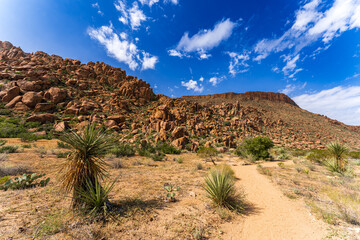 Scenic View at Big Bend Nationalpark, Texas, USA