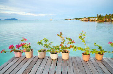 Plants in pots on a pier, Semporna district, Borneo, Malaysia.