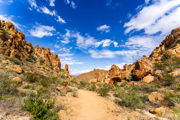 Scenic View at Big Bend Nationalpark, Texas, USA
