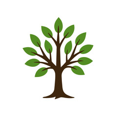 Obraz premium green tree isolated on white