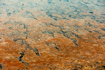 Colorful bacterial mats thriving in a geothermal area, forming an intricate and abstract pattern...