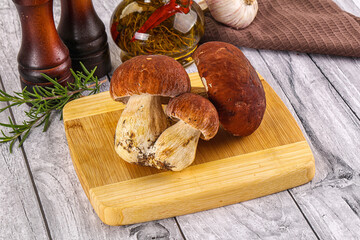 Raw natural wild porchini mushrooms