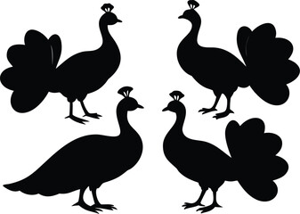 Fototapeta premium Four black silhouette peacocks on white background 1