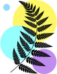 fern leaf on black background